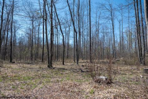 1 S Preston Highway Tunnelton WV 26444
