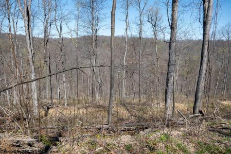 1 S Preston Highway Tunnelton WV 26444