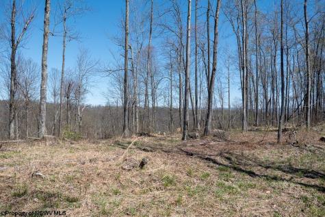 Lot 1 S Preston Highway Tunnelton WV 26444
