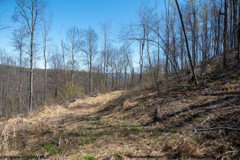 1 S Preston Highway Tunnelton WV 26444