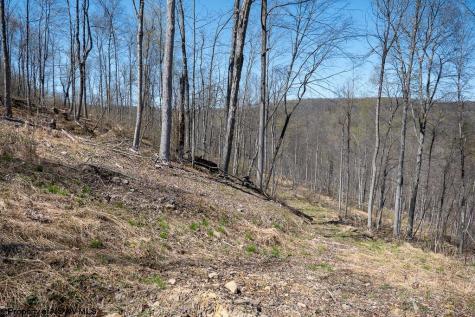 1 S Preston Highway Tunnelton WV 26444