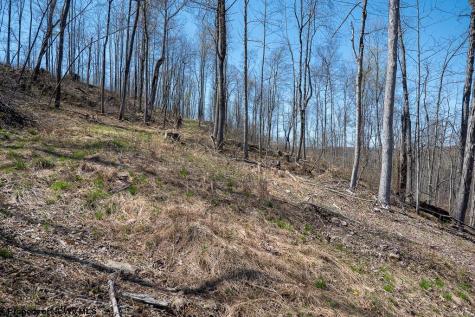 1 S Preston Highway Tunnelton WV 26444