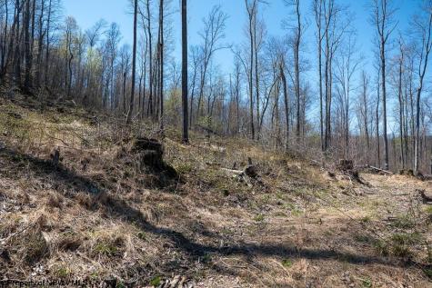 1 S Preston Highway Tunnelton WV 26444