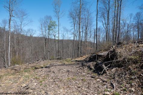 1 S Preston Highway Tunnelton WV 26444