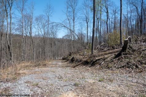 1 S Preston Highway Tunnelton WV 26444