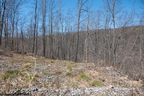 1 S Preston Highway Tunnelton WV 26444