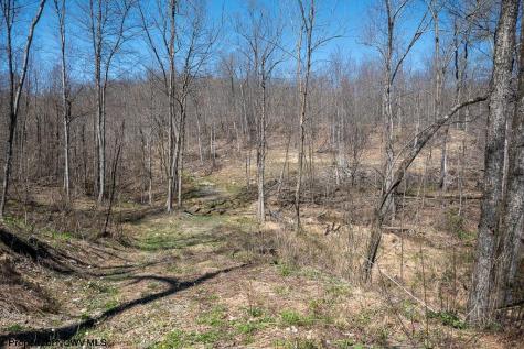 1 S Preston Highway Tunnelton WV 26444