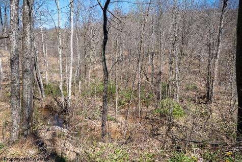 1 S Preston Highway Tunnelton WV 26444