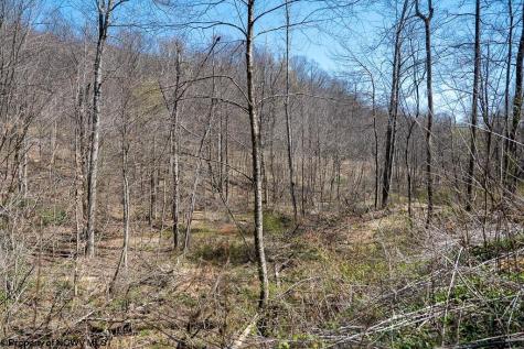1 S Preston Highway Tunnelton WV 26444