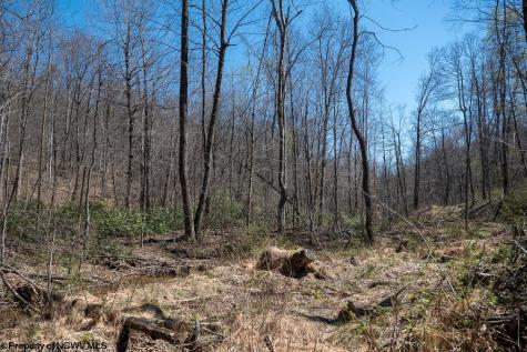 1 S Preston Highway Tunnelton WV 26444