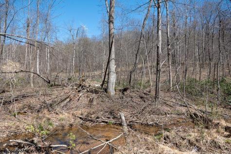 1 S Preston Highway Tunnelton WV 26444