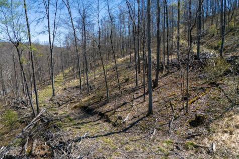 1 S Preston Highway Tunnelton WV 26444