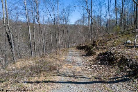 Lot 1 S Preston Highway Tunnelton WV 26444