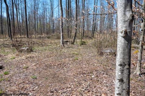 1 S Preston Highway Tunnelton WV 26444