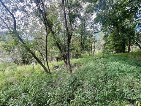 3218 Old Weston Road Buckhannon WV 26201