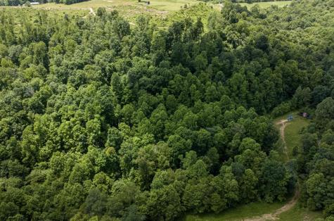 18 Lake Island Drive Belington WV 26250