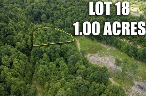 18 Lake Island Drive Belington WV 26250