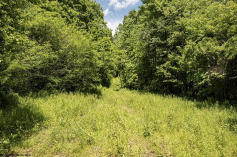 18 Lake Island Drive Belington WV 26250