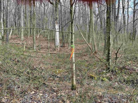 23 Hobbits Glenn Estates Masontown WV 26542