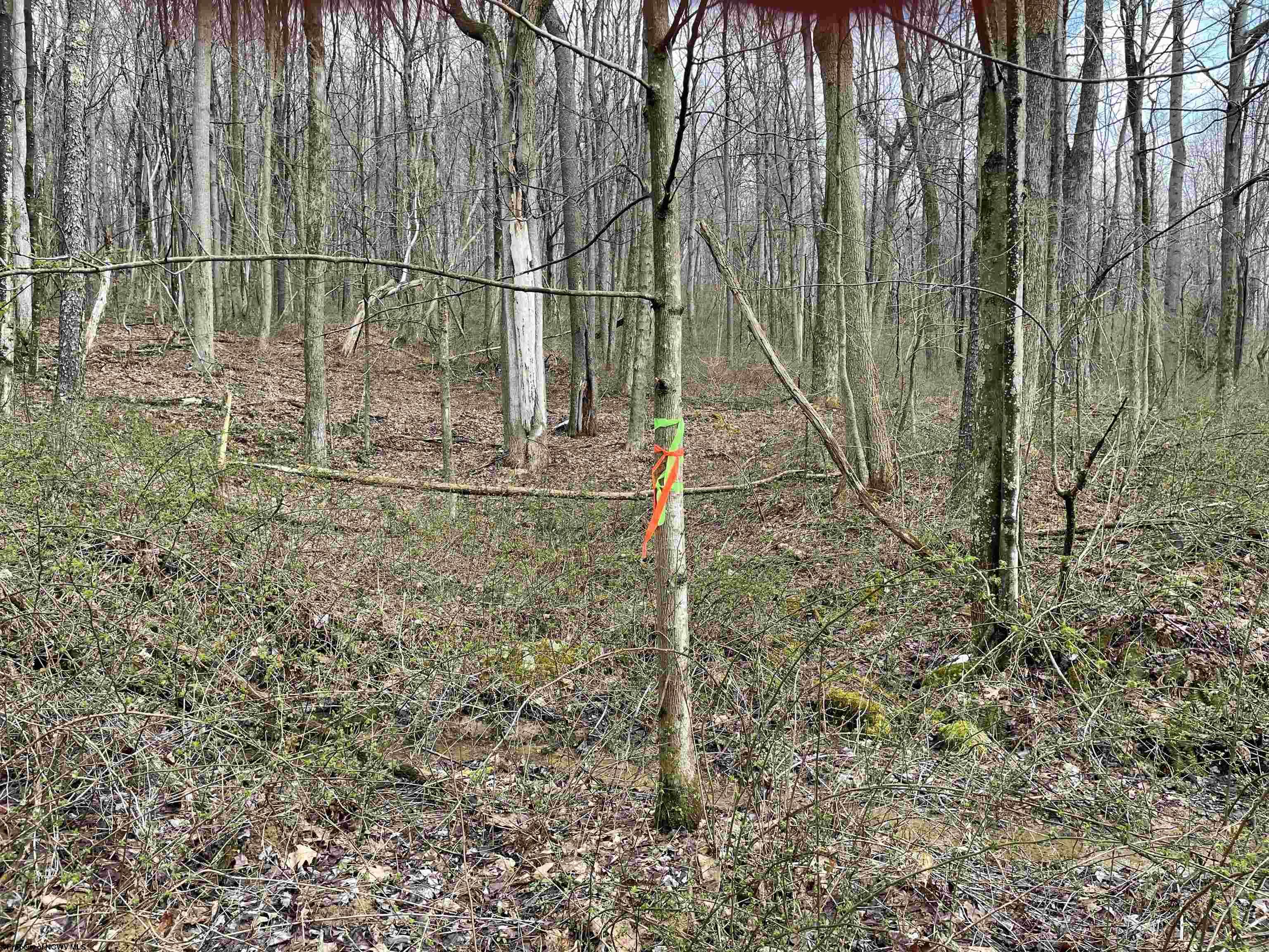 23 Hobbits Glenn Estates Masontown WV 26542