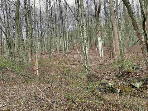 23 Hobbits Glenn Estates Masontown WV 26542