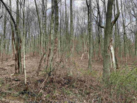 23 Hobbits Glenn Estates Masontown WV 26542