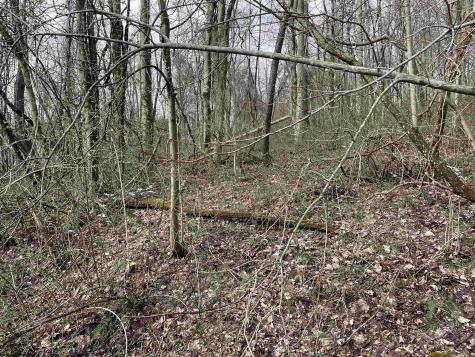 23 Hobbits Glenn Estates Masontown WV 26542