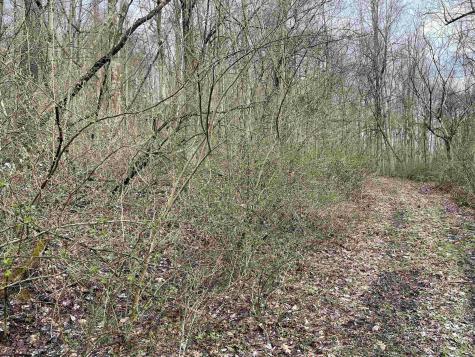 23 Hobbits Glenn Estates Masontown WV 26542