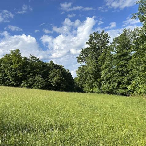5400 Brandonville Pike Terra Alta WV 26764