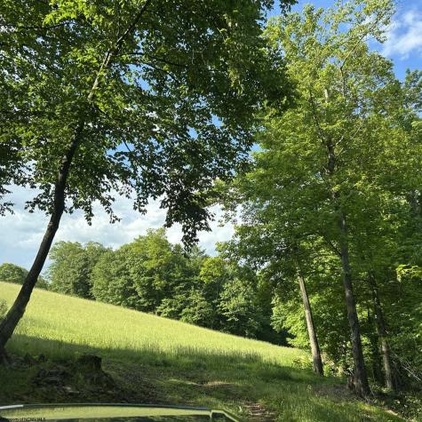 5400 Brandonville Pike Terra Alta WV 26764