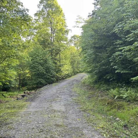 5400 Brandonville Pike Terra Alta WV 26764