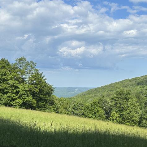 5400 Brandonville Pike Terra Alta WV 26764