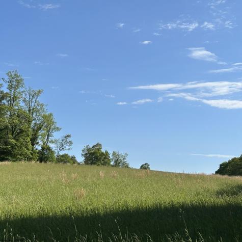 5400 Brandonville Pike Terra Alta WV 26764