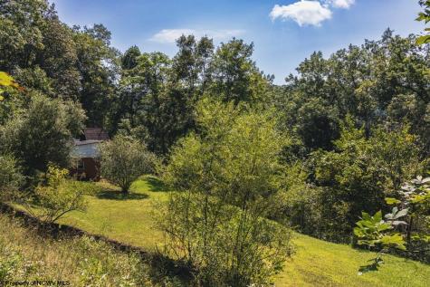 27785 Mountaineer Highway Metz WV 26585