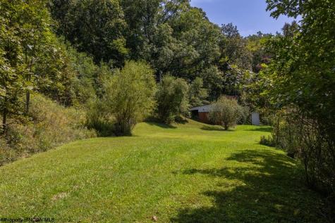 27785 Mountaineer Highway Metz WV 26585