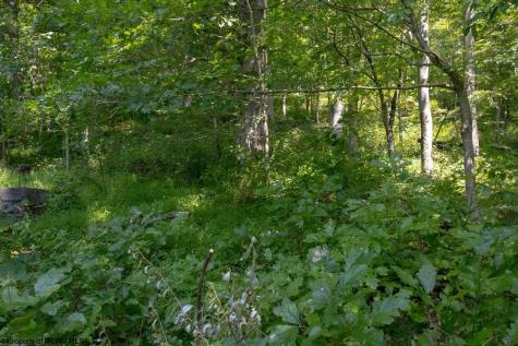 27785 Mountaineer Highway Metz WV 26585