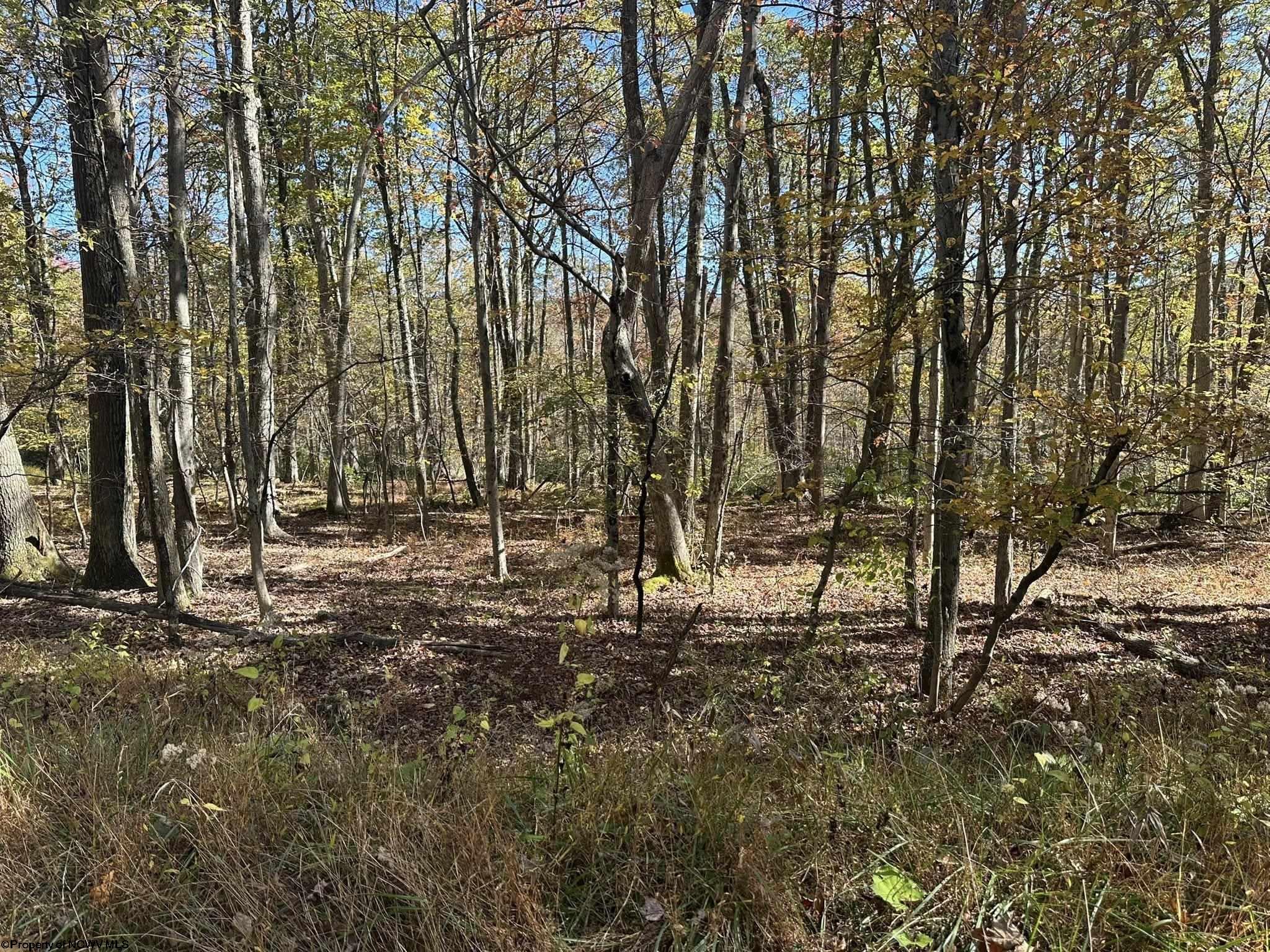 470 Redwood Drive Terra Alta WV 26764