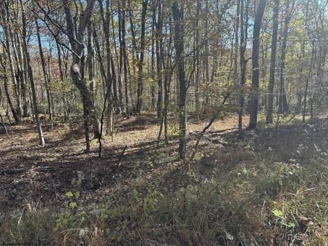 470 Redwood Drive Terra Alta WV 26764