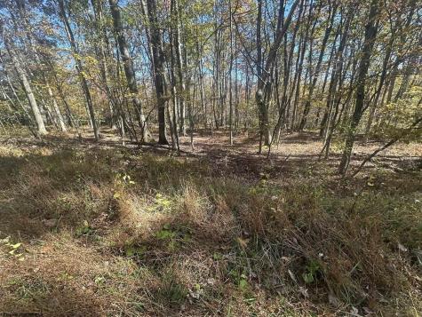 470 Redwood Drive Terra Alta WV 26764
