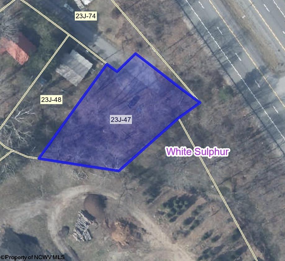 0 Lower Pleasant Valley Road White Sulphur Springs WV 24986