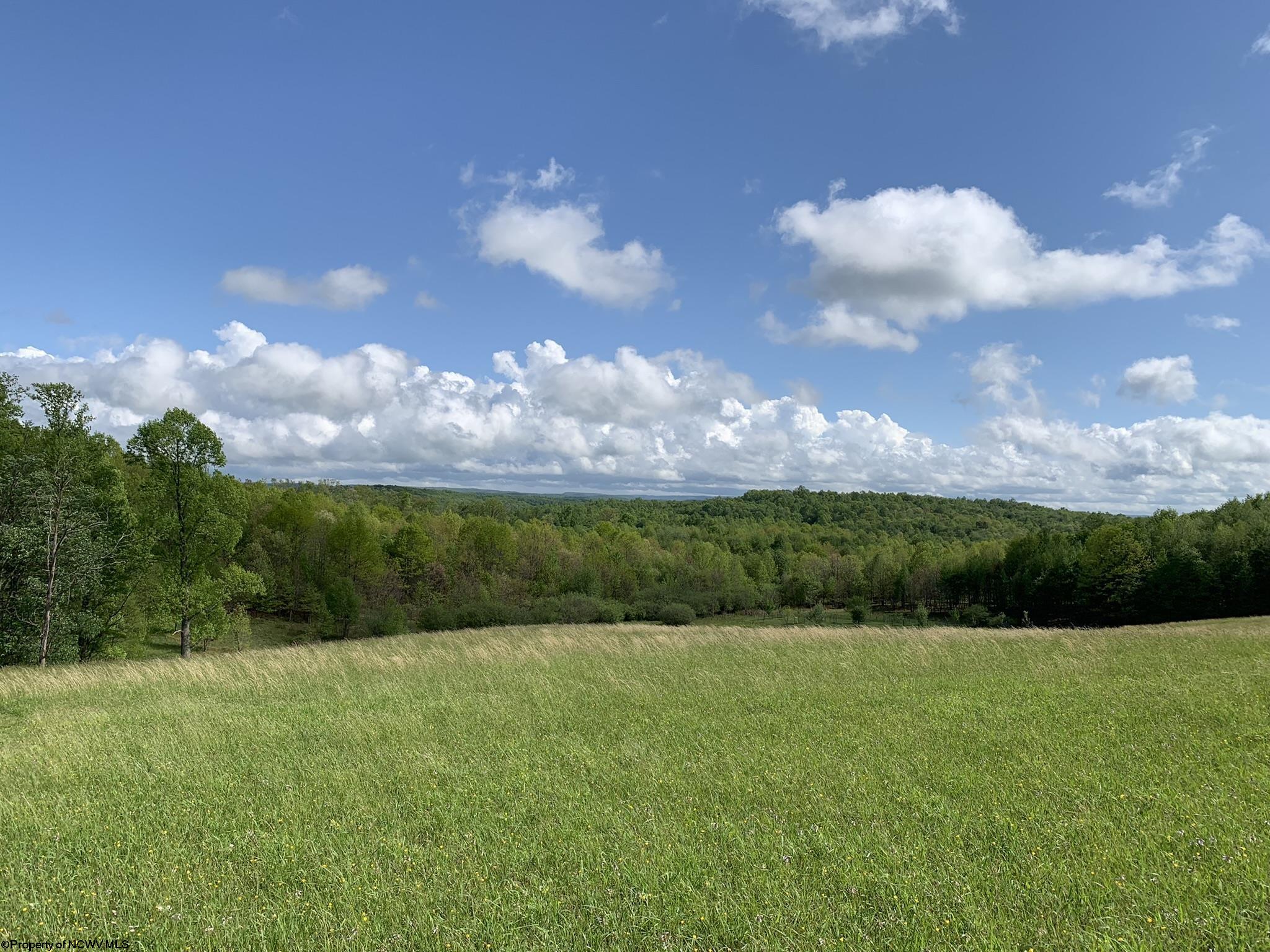 111 Briar Ridge Lane Ellamore WV 26267