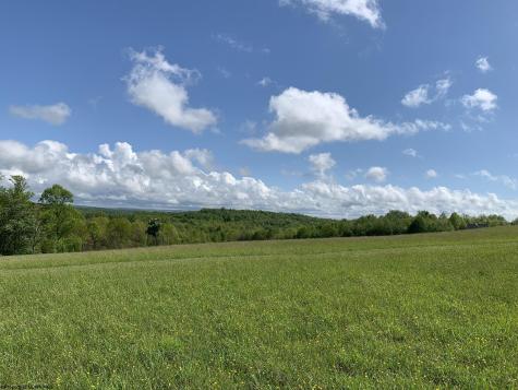 111 Briar Ridge Lane Ellamore WV 26267