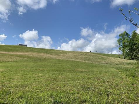 111 Briar Ridge Lane Ellamore WV 26267