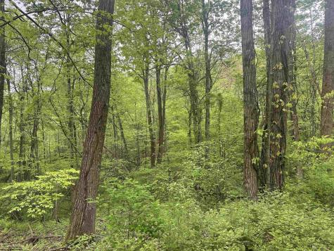 3003 Pell Road Kingwood WV 26537