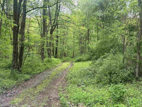 3003 Pell Road Kingwood WV 26537