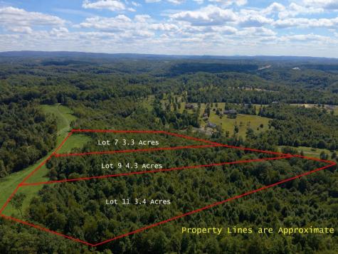 1 Gauley Ridge Road Mount Nebo WV 26679
