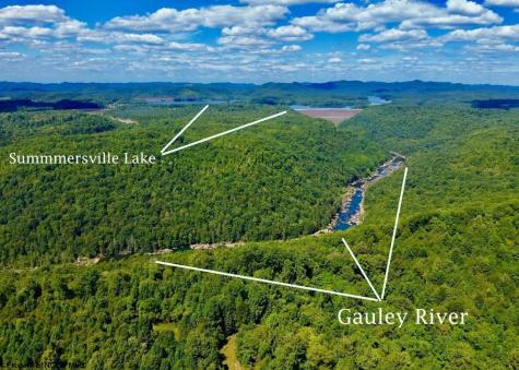 1 Gauley Ridge Road Mount Nebo WV 26679