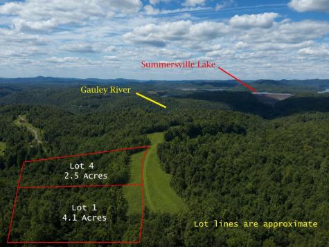1 Gauley Ridge Road Mount Nebo WV 26679