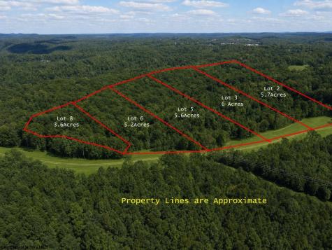 1 Gauley Ridge Road Mount Nebo WV 26679