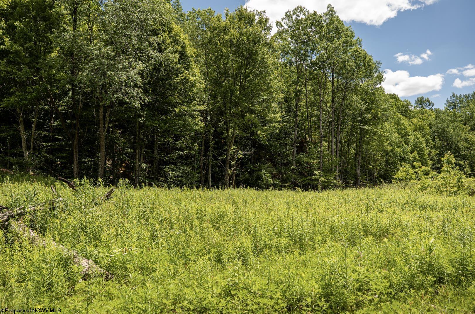 13 Lake Island Drive Belington WV 26250